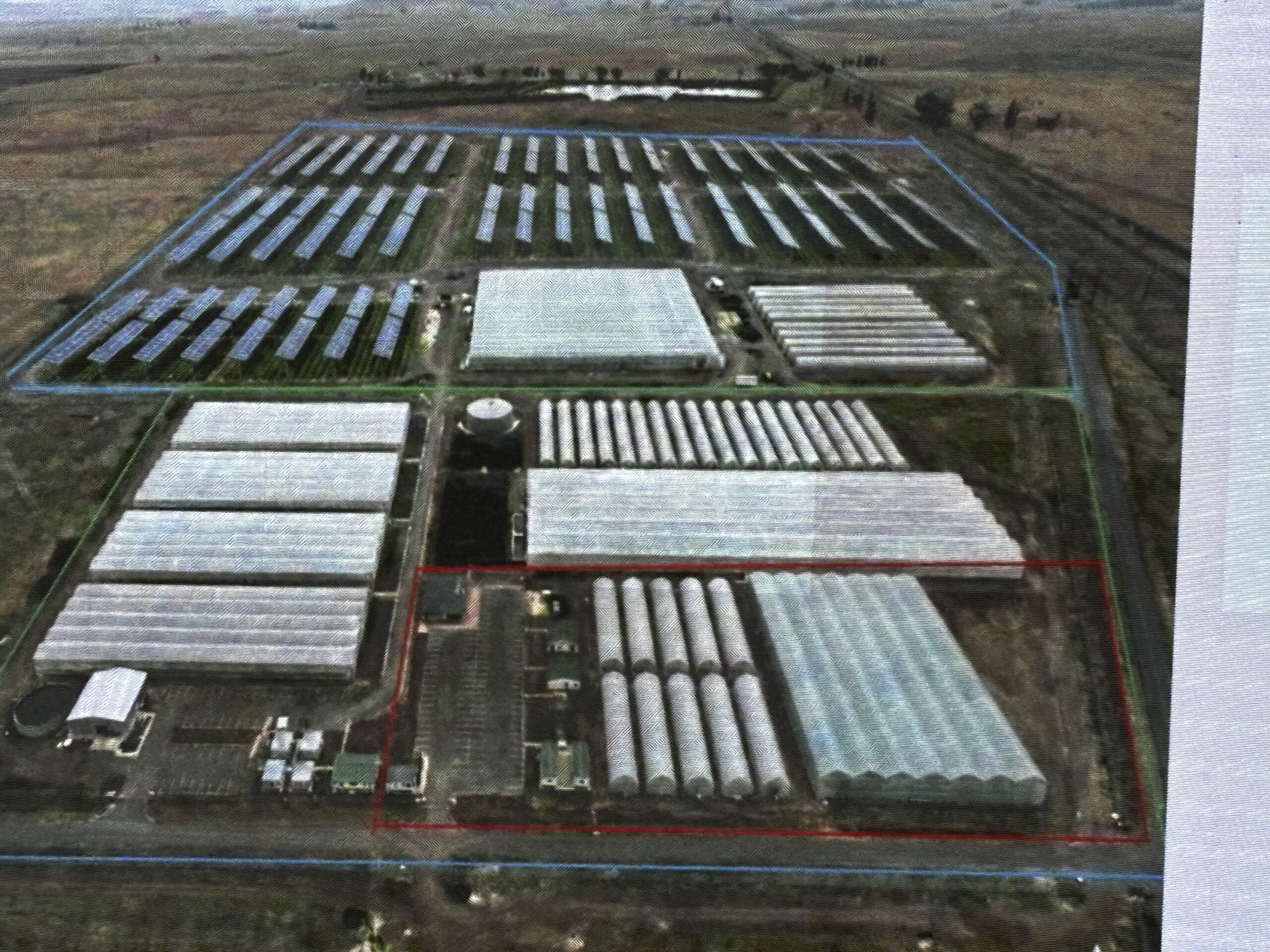 Dutch–South African Partnership Drives Climate-Smart Agriculture in Grootvlei